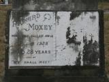image of grave number 917783